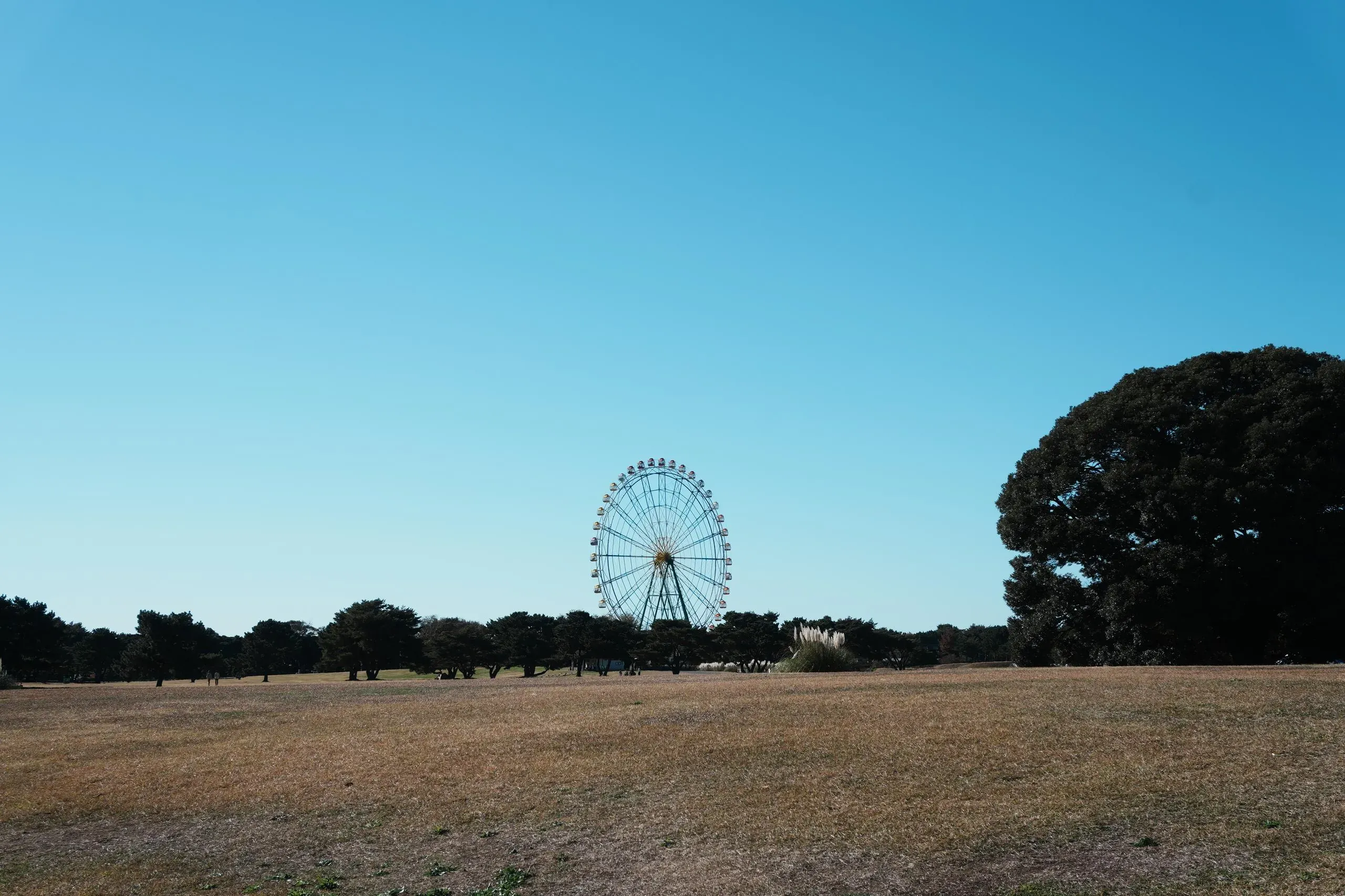 荒地上的摩天輪