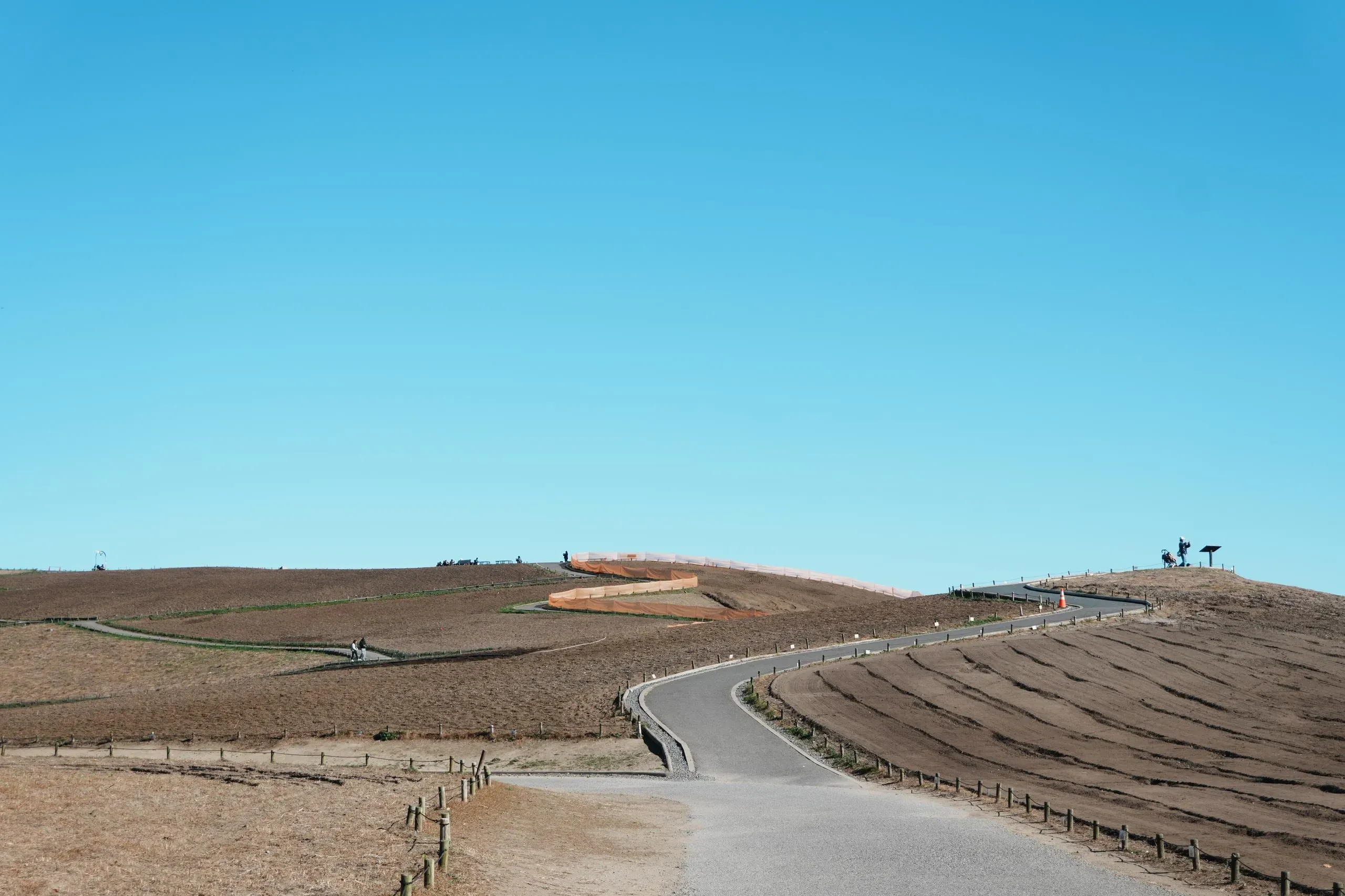 枯枝敗葉……在哪？