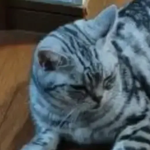 日本農村的好(上) cover image