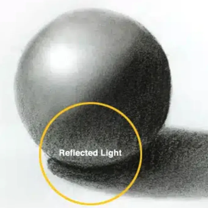 Reflected Light